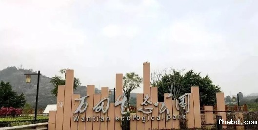 彩色透水混凝土----增城万田生态公园案例